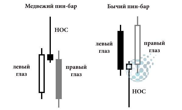 Медвежий и бычий пин-бары